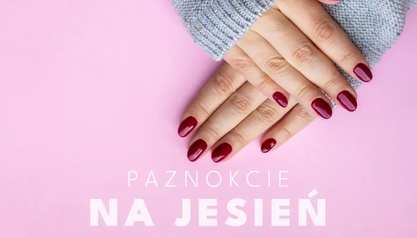 Dłonie w szarym swetrze z idealnymi, bordowymi paznokciami na jesień.