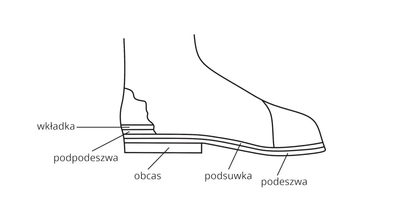 Schematyczny przekrój buta, pokazujący gdzie jest cholewka w bucie, wkładka, podeszwa, obcas i inne elementy.